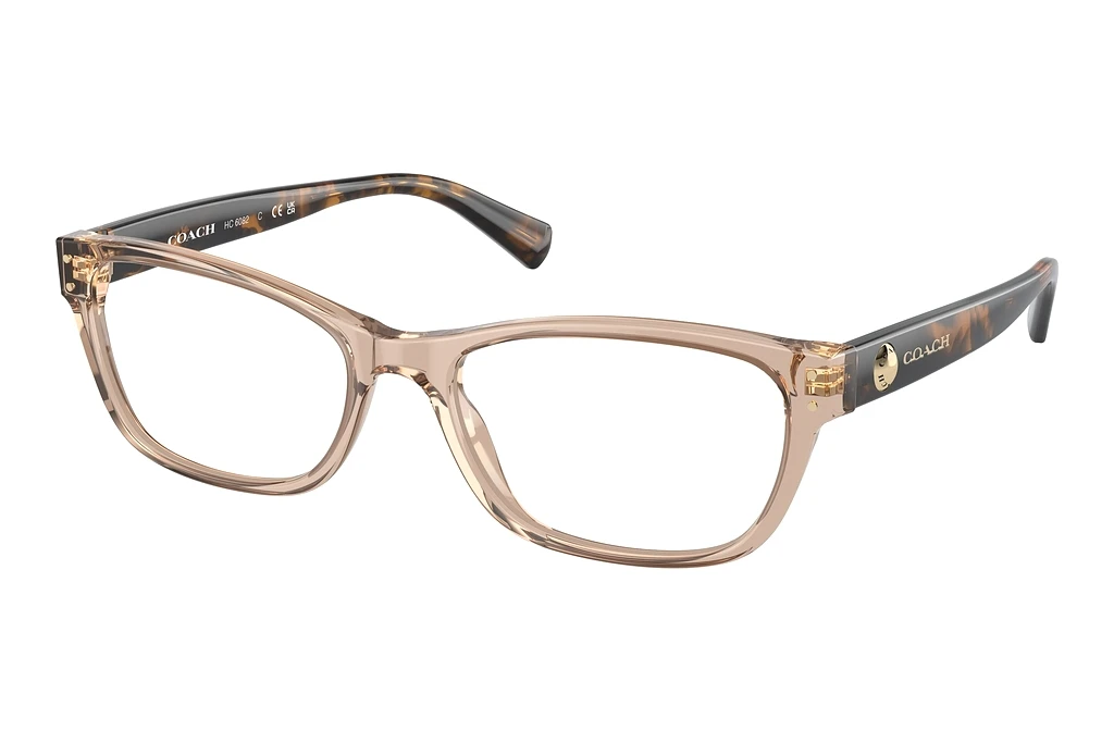 Coach HC6082 5561 Transparent Brown Coach HC6082 5561 Transparent Brown