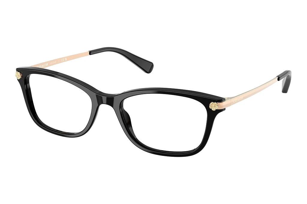 Coach HC6142 5002 Black Coach HC6142 5002 Black