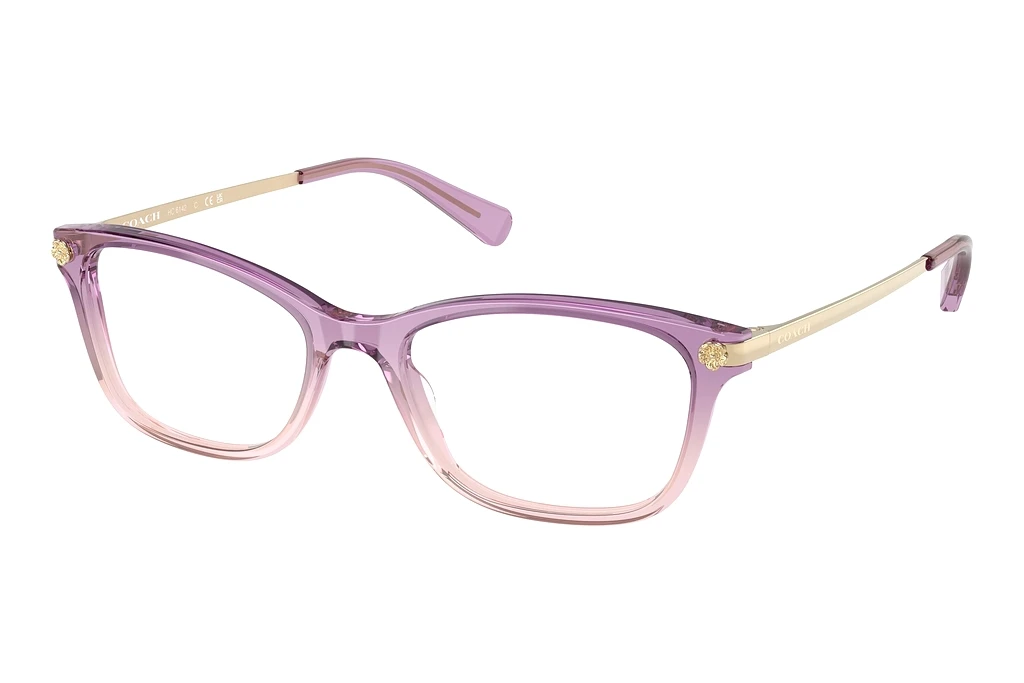 Coach HC6142 5813 Amethyst/Pink Gradient Coach HC6142 5813 Amethyst/Pink Gradient