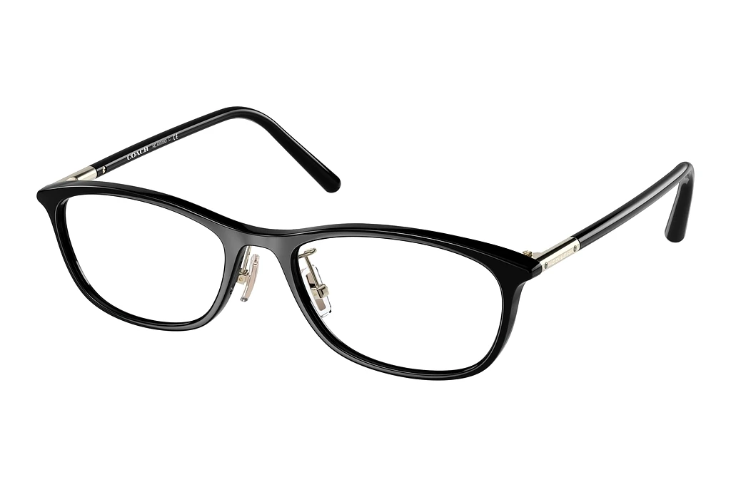 Coach   HC6191BD 5002 Black Coach   HC6191BD 5002 Black