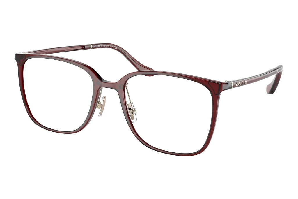 Coach   HC6203D 5721 Transparent Burgundy Coach   HC6203D 5721 Transparent Burgundy