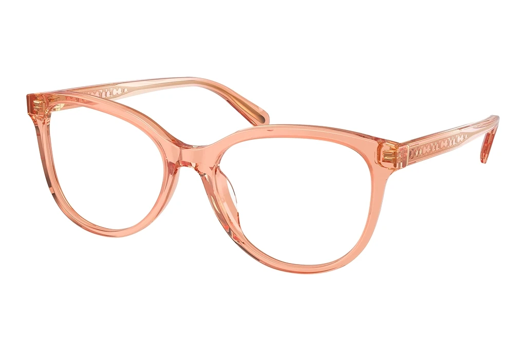 Coach HC6236U 5822 Transparent Saddle Coach HC6236U 5822 Transparent Saddle