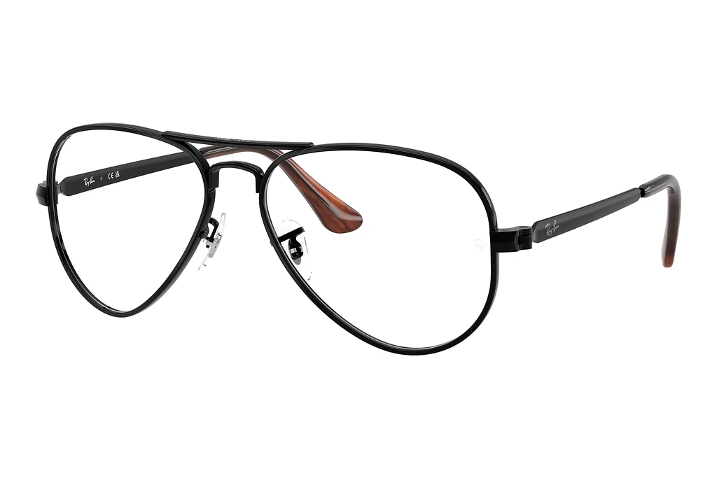 Ray-Ban RX3925V 2509 Black Ray-Ban RX3925V 2509 Black