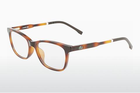 专门设计眼镜 Lacoste L3648 214