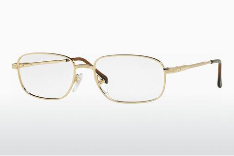 Naočale Sferoflex SF2086 108