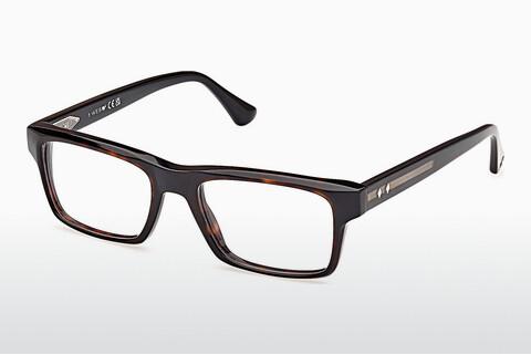 Glasögon Web Eyewear WE5432 056