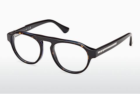 Očala Web Eyewear WE5433 056