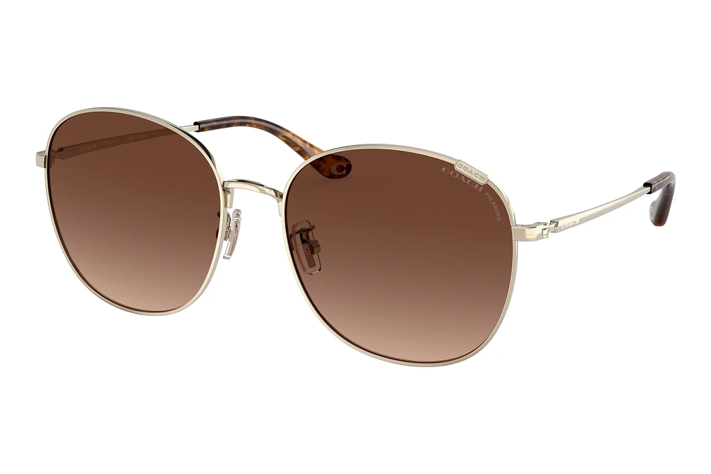 Coach   HC7134 9005T5 Brown Gradient PolarShiny Light Gold Coach   HC7134 9005T5 Brown Gradient PolarShiny Light Gold