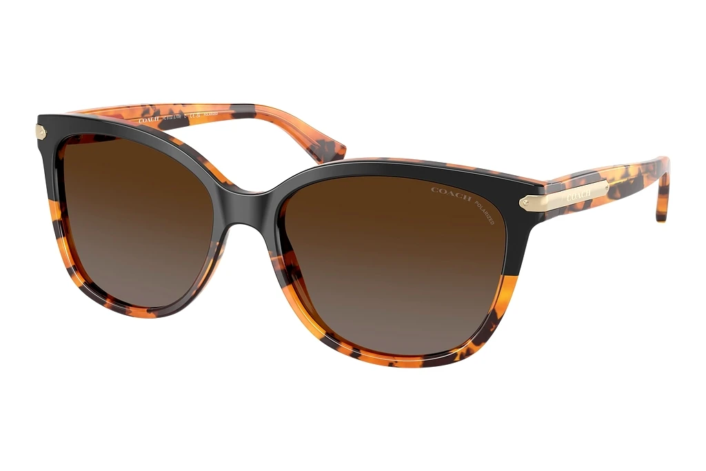 Coach HC8132 5438T5 Brown Gradient PolarizedBlack Tortoise Gradient Coach HC8132 5438T5 Brown Gradient PolarizedBlack Tortoise Gradient