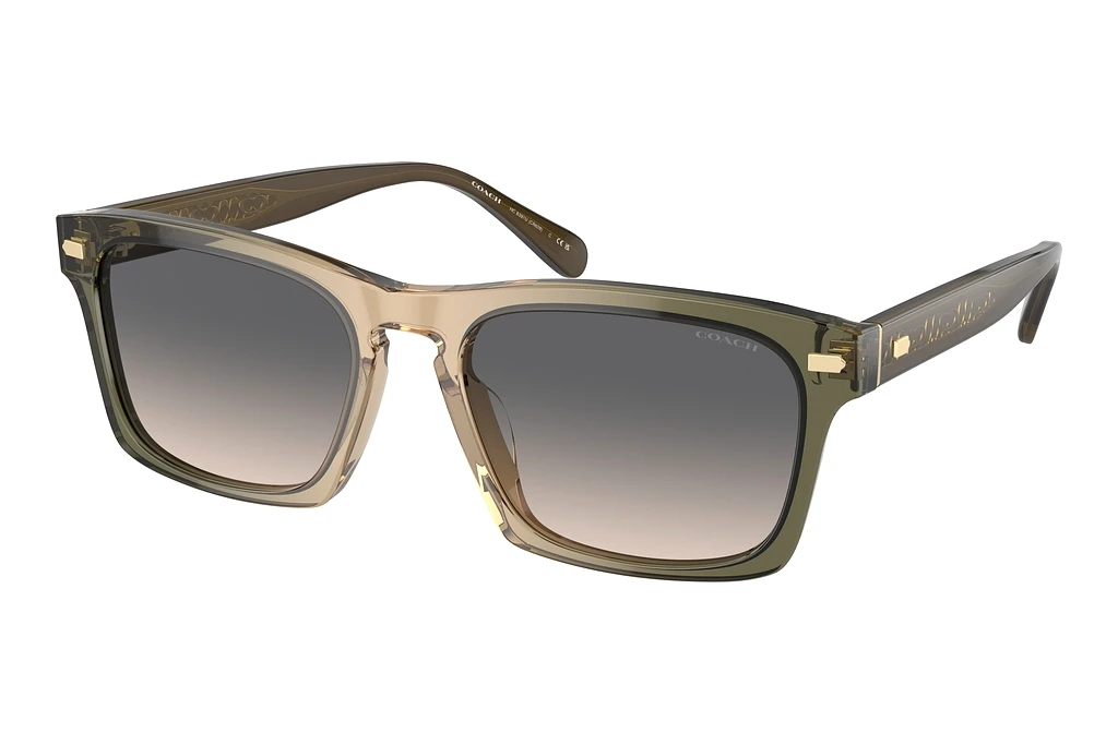 Coach HC8397U 5797G9 Green SandOlive Tan Gradient Coach HC8397U 5797G9 Green SandOlive Tan Gradient