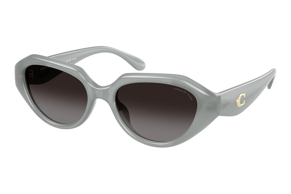 Coach HC8433U 5905T3 GreyMilky Eucalyptus Coach HC8433U 5905T3 GreyMilky Eucalyptus