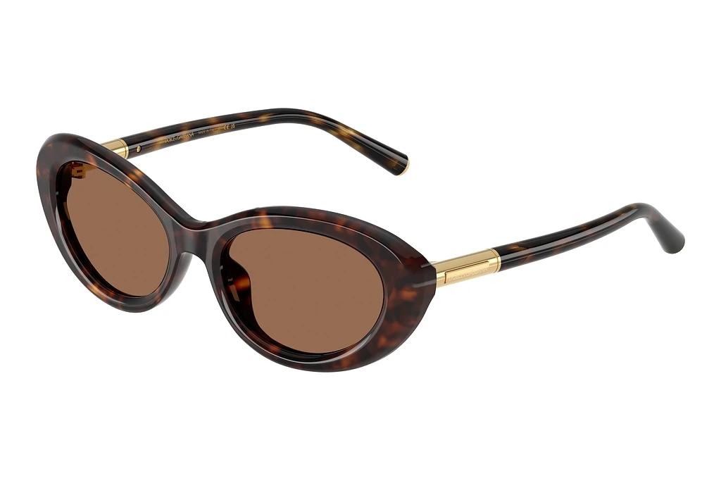 Dolce & Gabbana DG4519 502/73 Dark BrownHavana Dolce & Gabbana DG4519 502/73 Dark BrownHavana