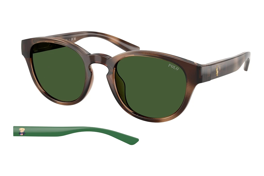 Polo PH4233U 607071 Bottle GreenShiny Dark Havana Polo PH4233U 607071 Bottle GreenShiny Dark Havana