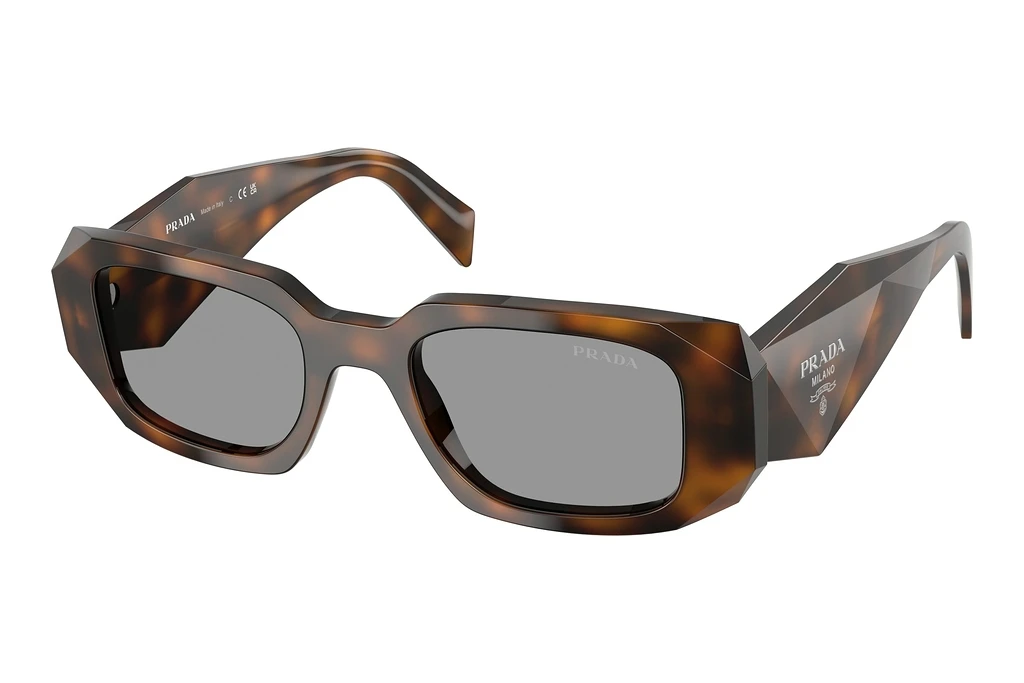 Prada   PR 17WS 20D50Q GreyJuniper Tortoise Prada   PR 17WS 20D50Q GreyJuniper Tortoise