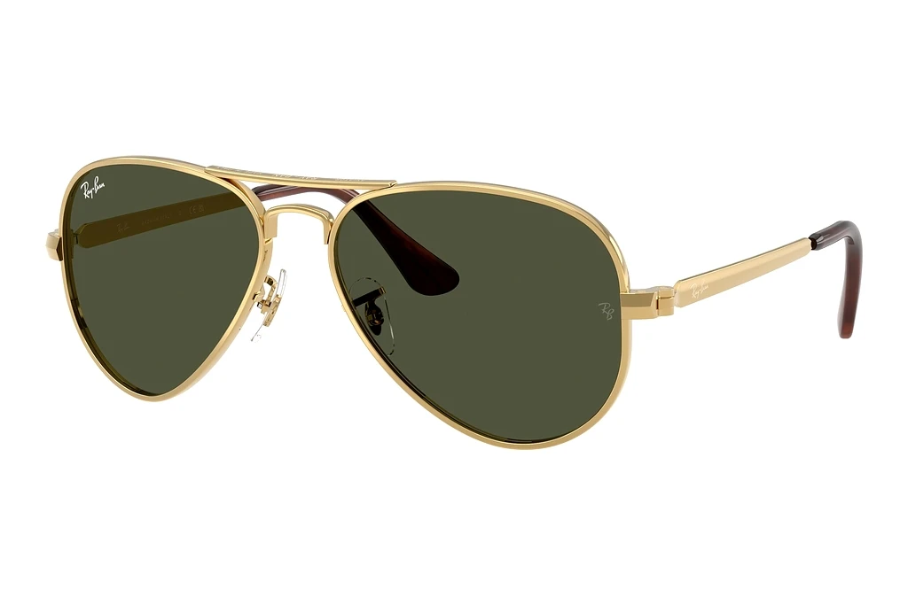 Ray-Ban RB3925 001/31 GreenArista Gold Ray-Ban RB3925 001/31 GreenArista Gold