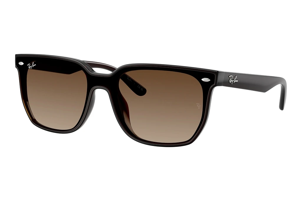 Ray-Ban RB4466D 714/13 Brown GradientTransparent Dark Brown Ray-Ban RB4466D 714/13 Brown GradientTransparent Dark Brown