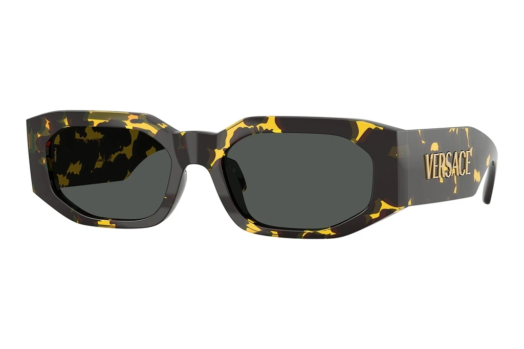 Versace   VE4489U 552887 Dark GreyBrown Tortoise Versace   VE4489U 552887 Dark GreyBrown Tortoise