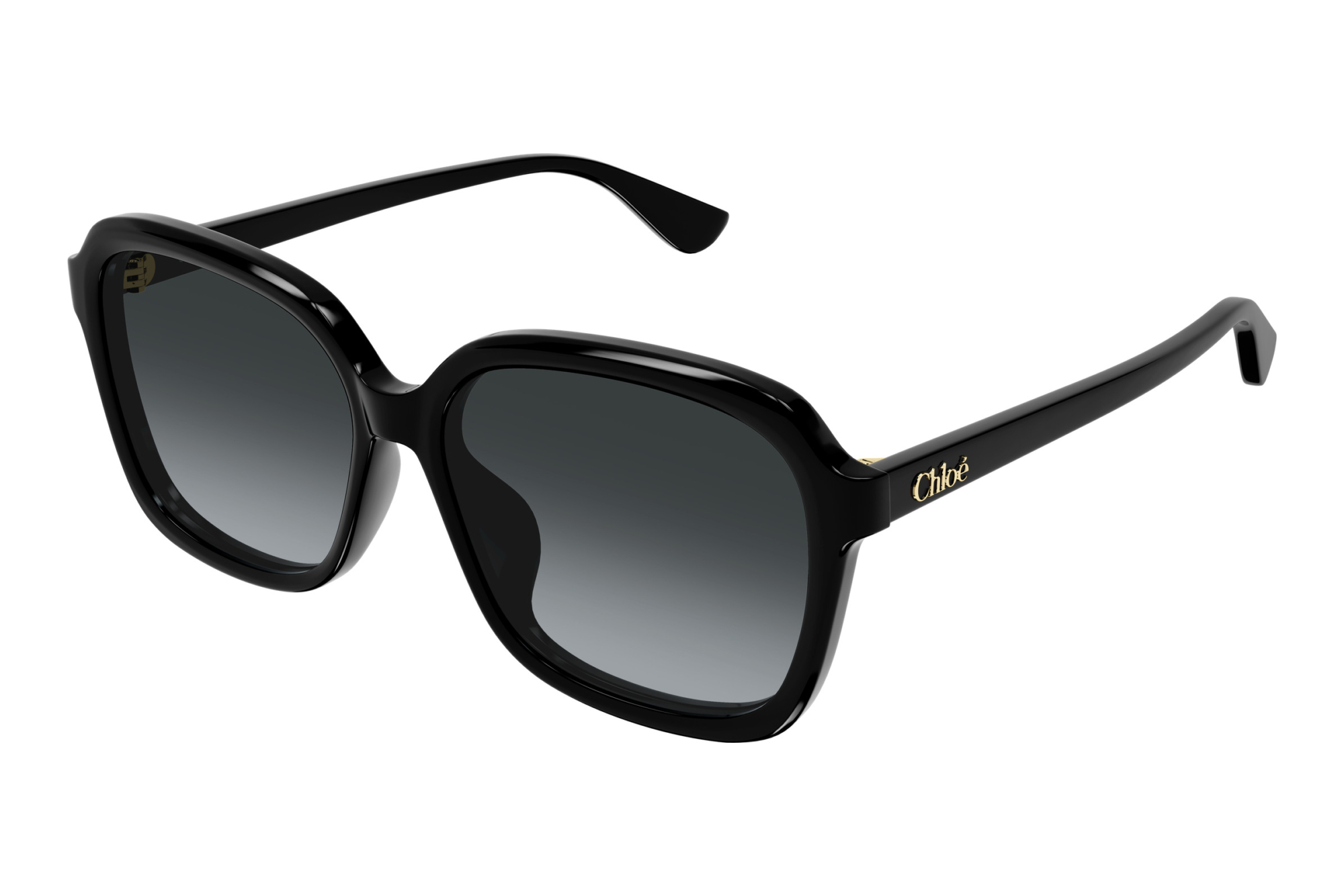 Chloé CH0390SK 001 BLACK Chloé CH0390SK 001 BLACK