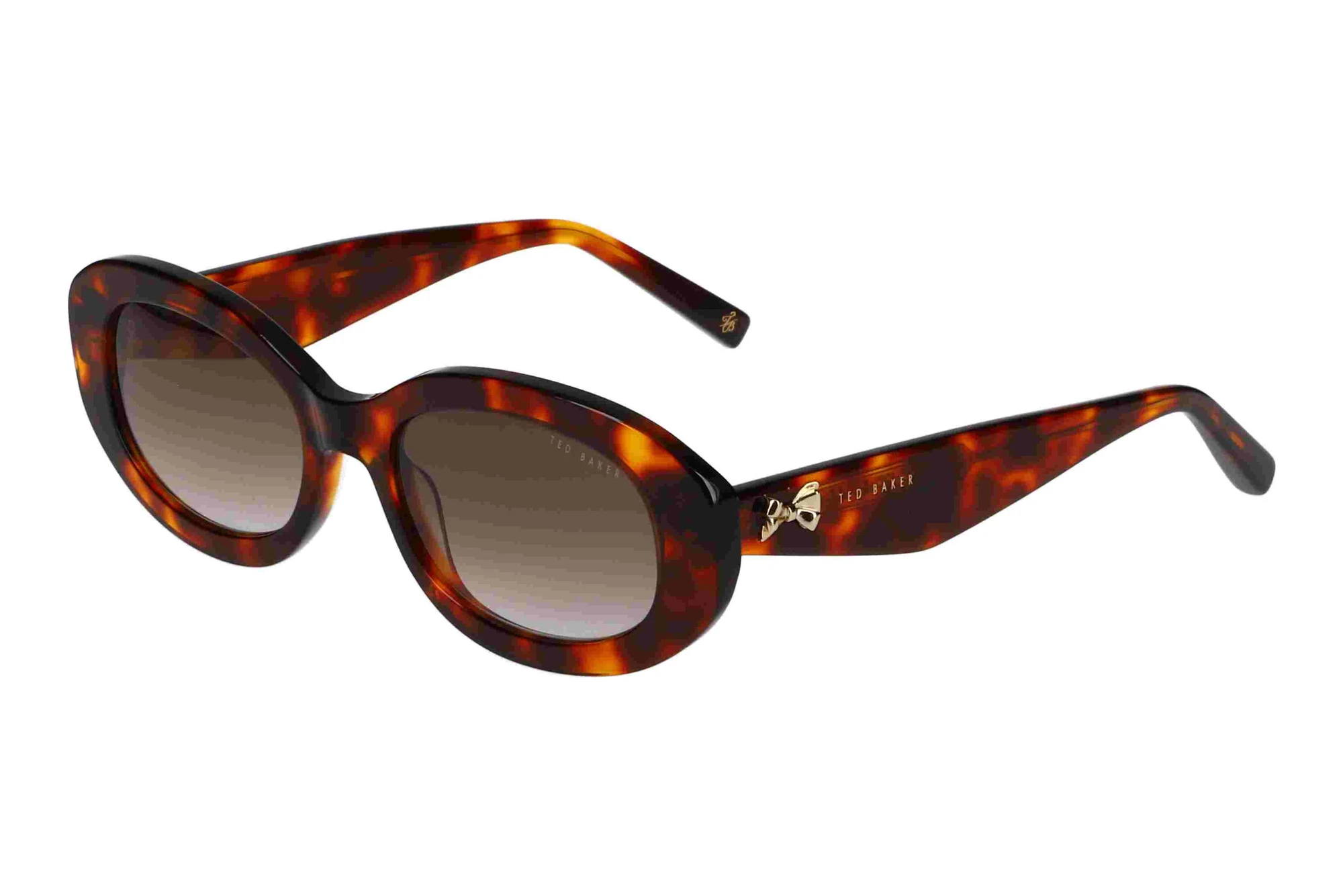 Ted Baker 391758 100 Braun Ted Baker 391758 100 Braun