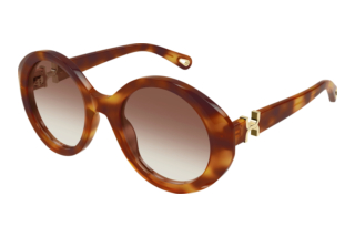 Chloé CH0332S 003 HAVANA