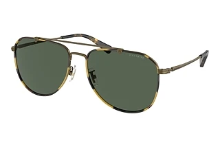 Coach HC7164 933371 Green SolidAntique Gold/Tokyo Tortoise