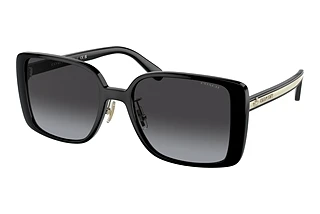 Coach HC8375 50028G Grey GradientBlack