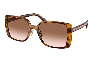 Coach HC8375 512013 Brown Pink GradientDark Tortoise
