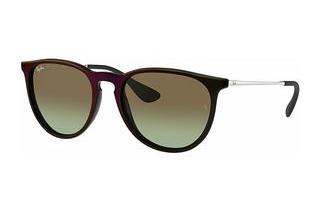 Ray-Ban RB4171 6316E8 Green/BrownMirror Red On Black
