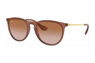 Ray-Ban RB4171 659013 Gradient BrownTransparent Light Brown