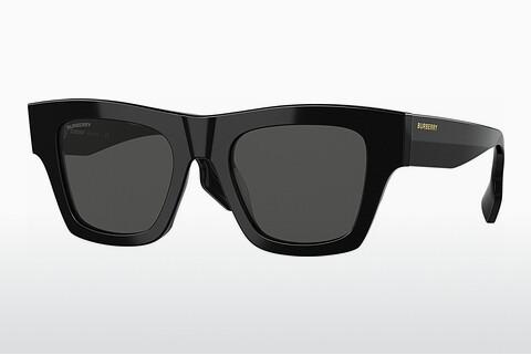Sunglasses Burberry ERNEST (BE4360 399387)