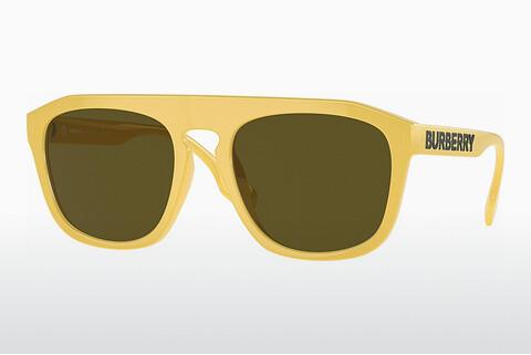 Sunglasses Burberry WREN (BE4396U 407073)