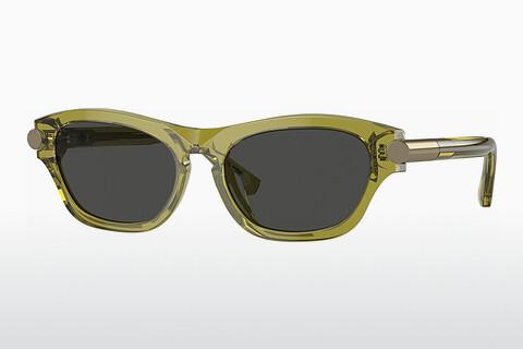 Sunglasses Burberry BE4430U 411887