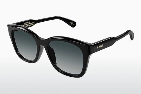 Ophthalmic Glasses Chloé CH0194SK 001