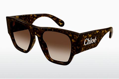 Sonnenbrille Chloé CH0233S 002