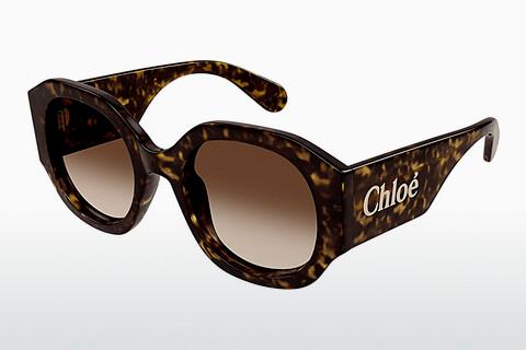 Ophthalmic Glasses Chloé CH0234SK 002