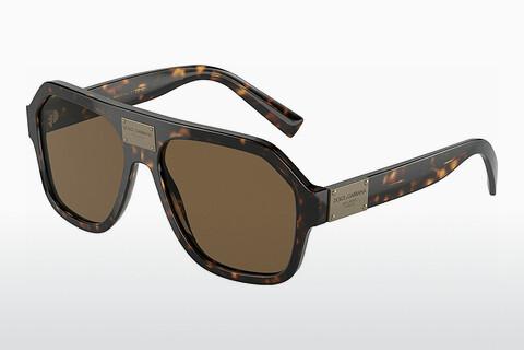Solglasögon Dolce & Gabbana DG4433 502/73