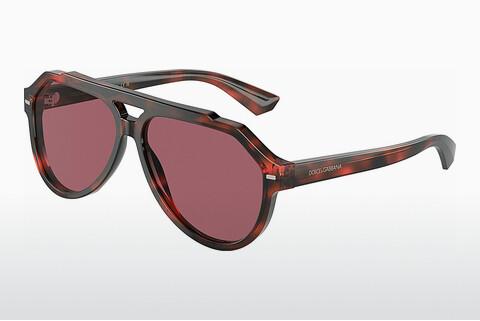 Solglasögon Dolce & Gabbana DG4452 335869