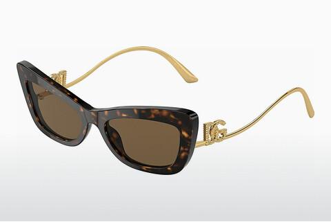 Saulesbrilles Dolce & Gabbana DG4467B 502/73