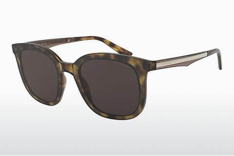 Sunglasses Giorgio Armani AR8136 502673