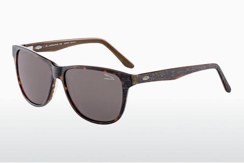 Sonnenbrille Jaguar 37161 6133
