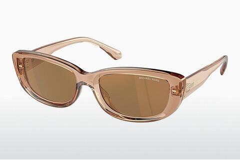 Sunglasses Michael Kors ASHEVILLE (MK2210U 3999/O)