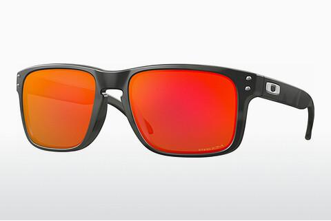 Slnečné okuliare Oakley HOLBROOK (OO9102 9102E9)