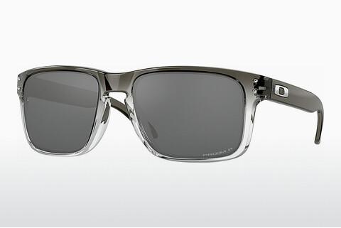 Sunčane naočale Oakley HOLBROOK (OO9102 9102O2)