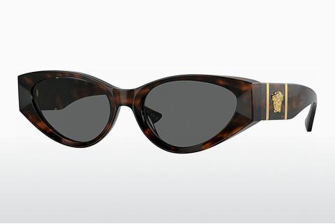 Solglasögon Versace VE4454 542987
