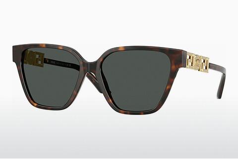 Solglasögon Versace VE4471B 108/87