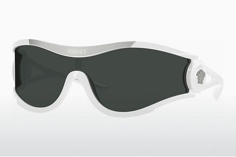 Solglasögon Versace VE4475 314/87