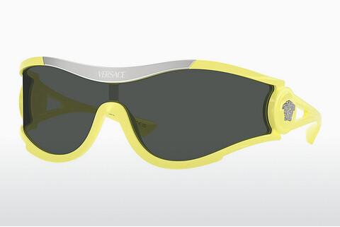 Solglasögon Versace VE4475 548687
