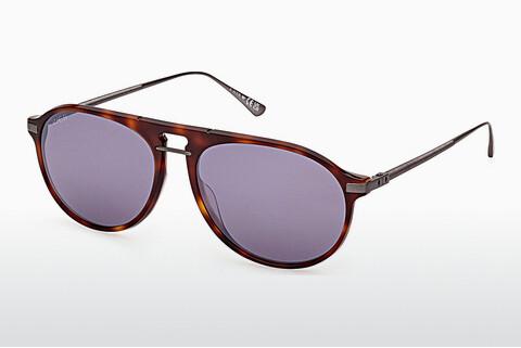 Solglasögon Web Eyewear WE0345 52A