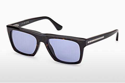 Saulesbrilles Web Eyewear WE0350 56V