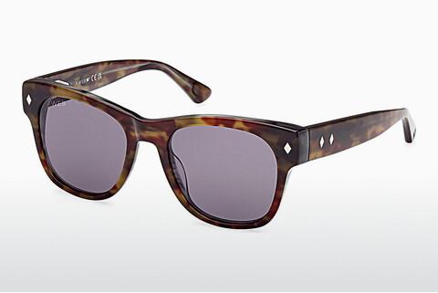 Saulesbrilles Web Eyewear WE0353 56A